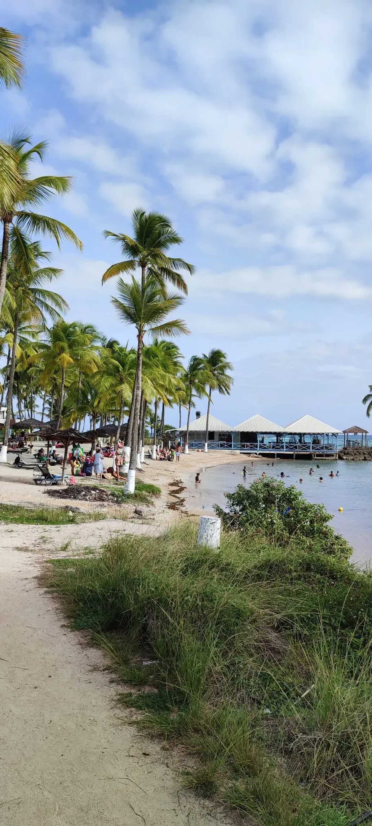 Maison 1 chambre à Baie-Mahault, jardin clos et parking - Photo 22