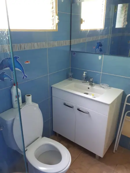 Maison avec jardin clôturé et 4 chambres à Sainte-Anne, Martinique : photo 12