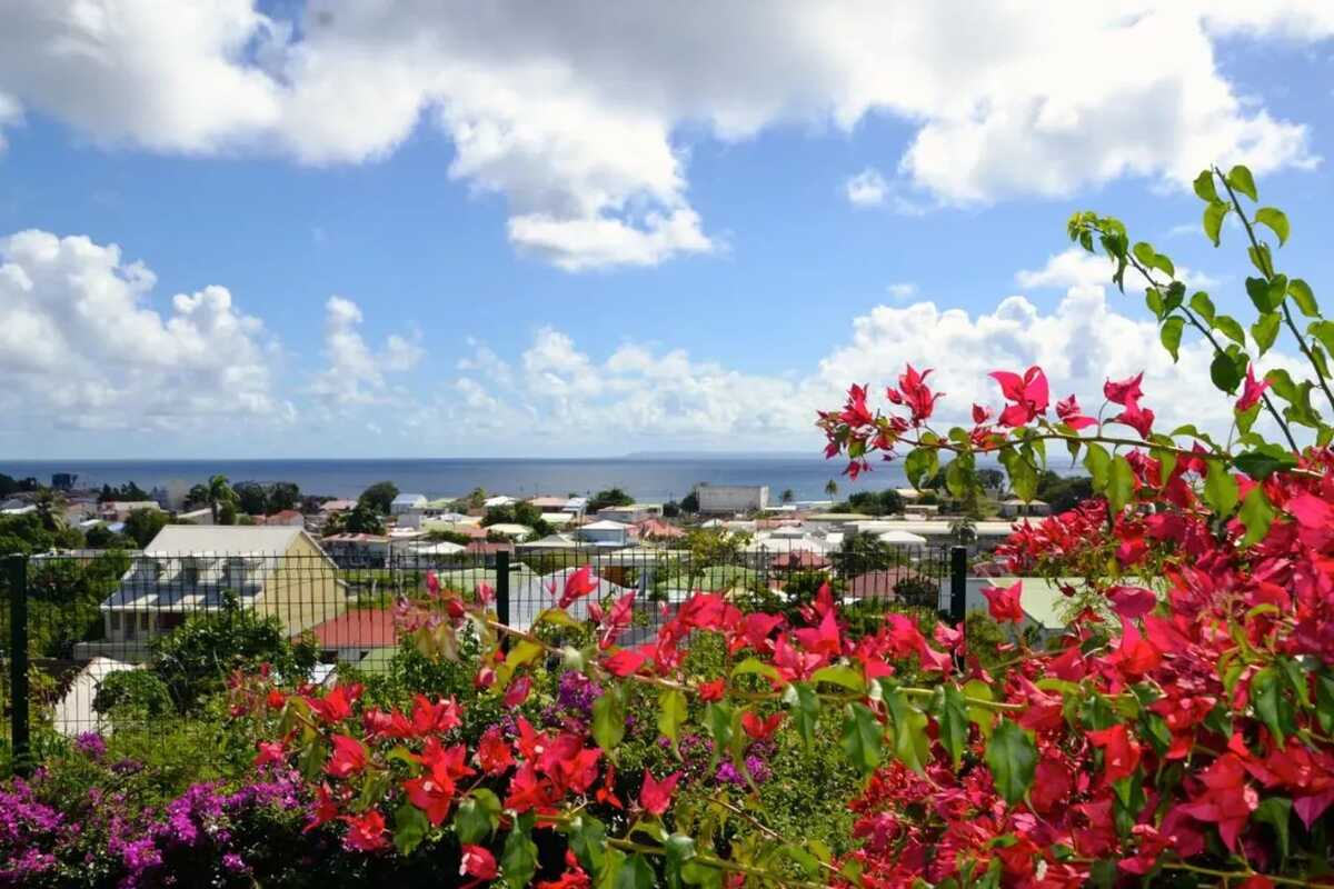 Studio 35 m² avec piscine et terrasse à Saint-François - Photo 4