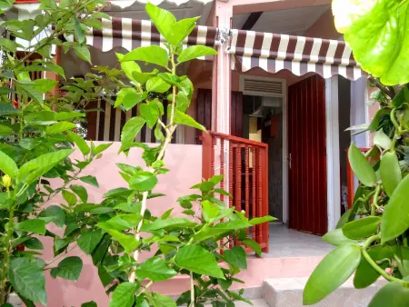 Appartement 2 chambres avec terrasse et jardin au Gosier, près de Mare Gailard : photo 9
