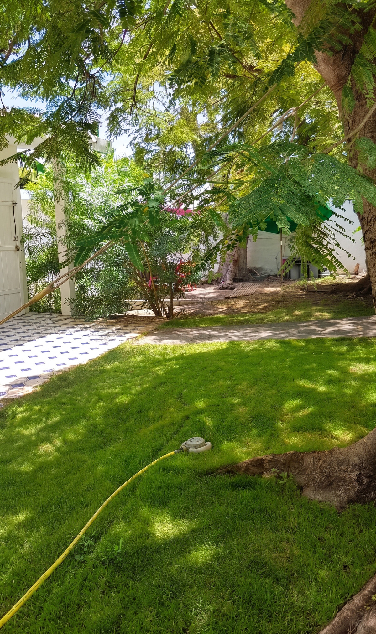 Maison 95 m² Saint-Gilles, jardin avec vue montagne - Photo 9
