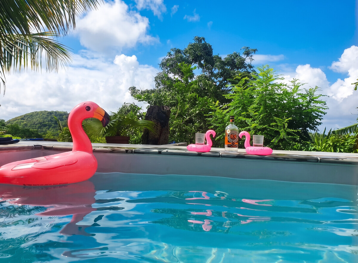 Appartement avec piscine privée à Sainte-Luce, Martinique - Photo 11