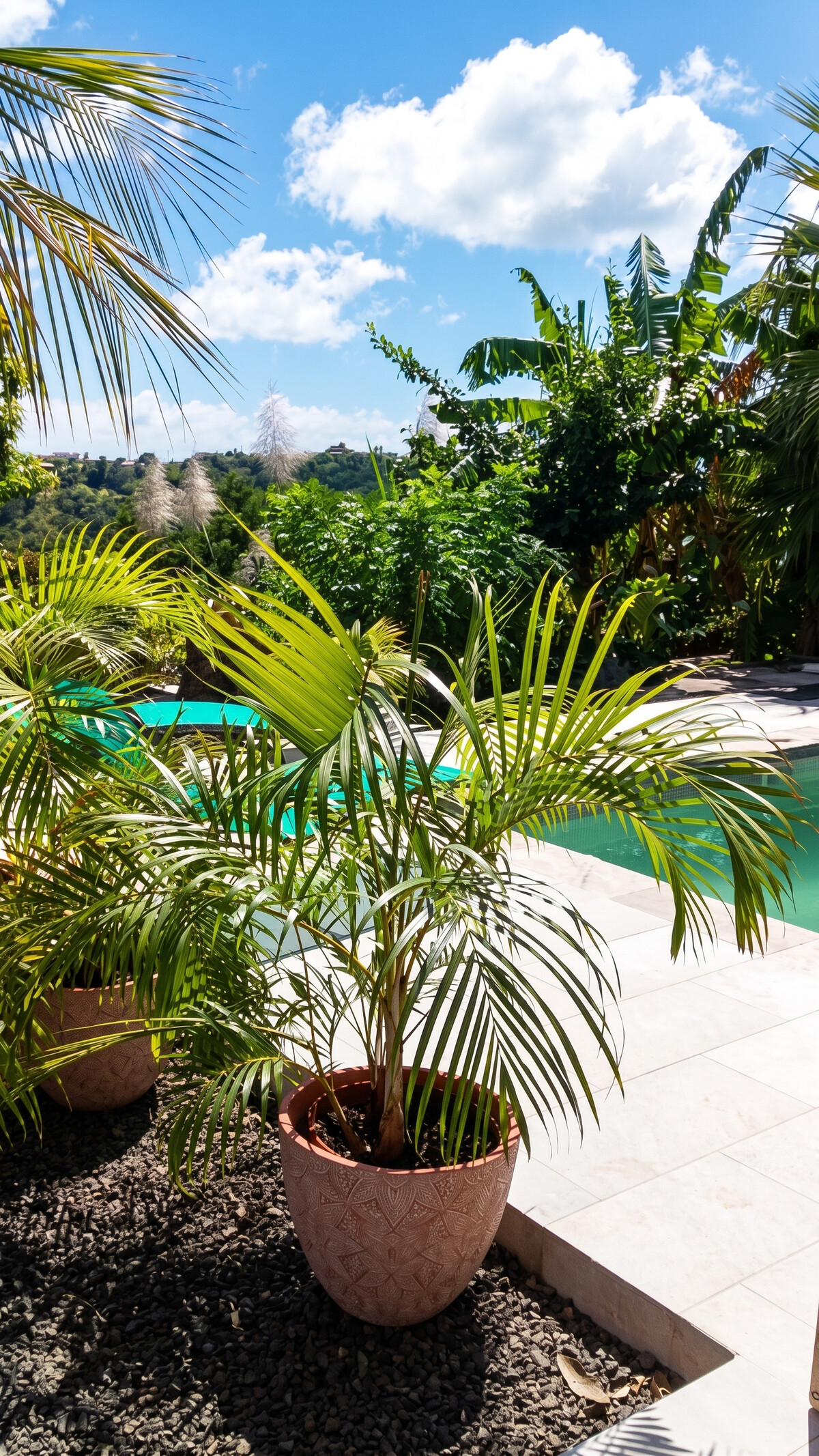 Appartement avec piscine privée à Sainte-Luce, Martinique - Photo 12
