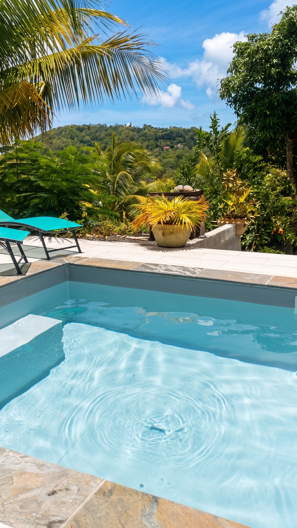 Appartement avec piscine privée à Sainte-Luce, Martinique - Photo 13
