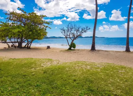 Appartement 50 m² vue mer et jardin à Sainte-Luce, Martinique : photo 11