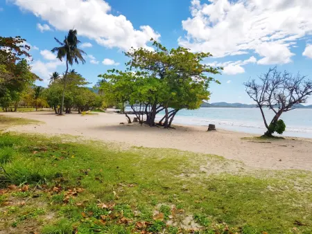 Appartement 50 m² vue mer et jardin à Sainte-Luce, Martinique : photo 12