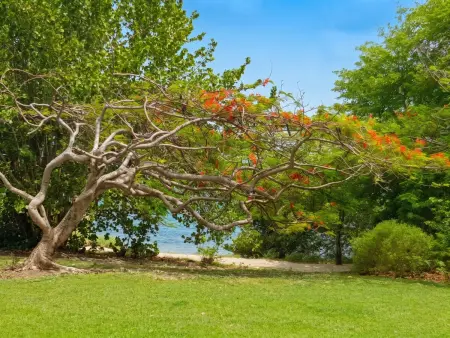 Appartement 50 m² vue mer et jardin à Sainte-Luce, Martinique : photo 19