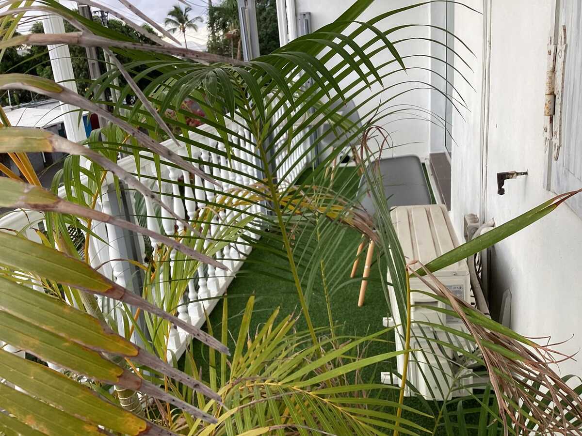 Studio 24 m² Le Port, piscine toute l'année - Photo 19