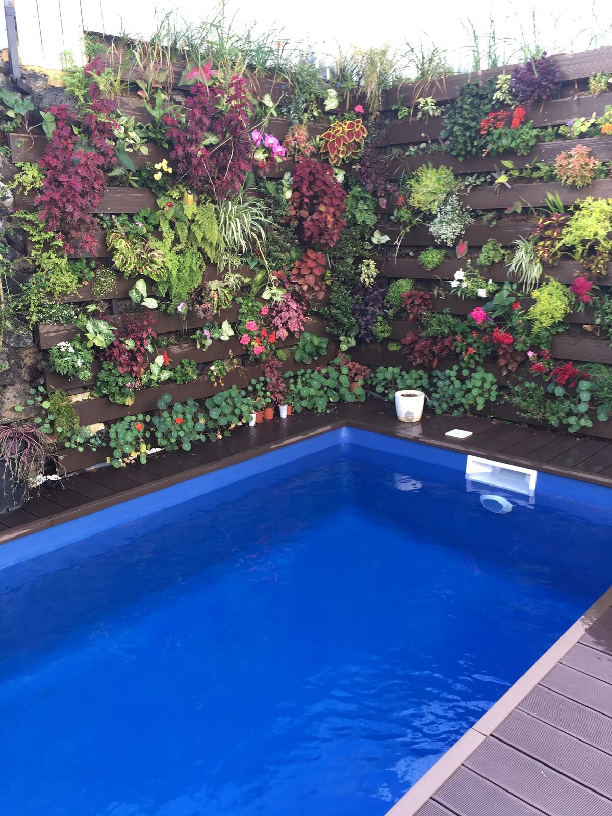 Studio 24 m² Le Port, piscine toute l'année - Photo 31