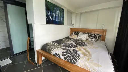 Appartement 55 m² avec piscine privée chauffable à Saint-Pierre : photo 3
