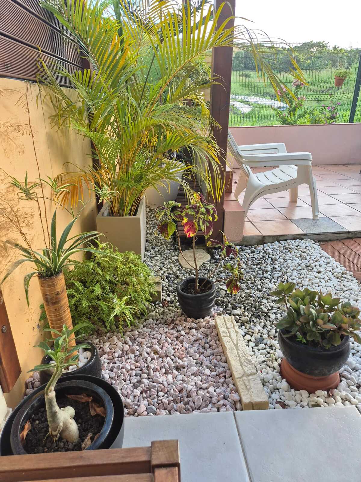 Maison 58 m² à Sainte-Anne, jardin clôturé et pergola - Photo 22