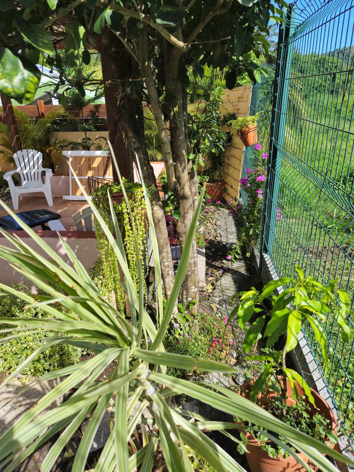 Maison 58 m² à Sainte-Anne, jardin clôturé et pergola - Photo 28