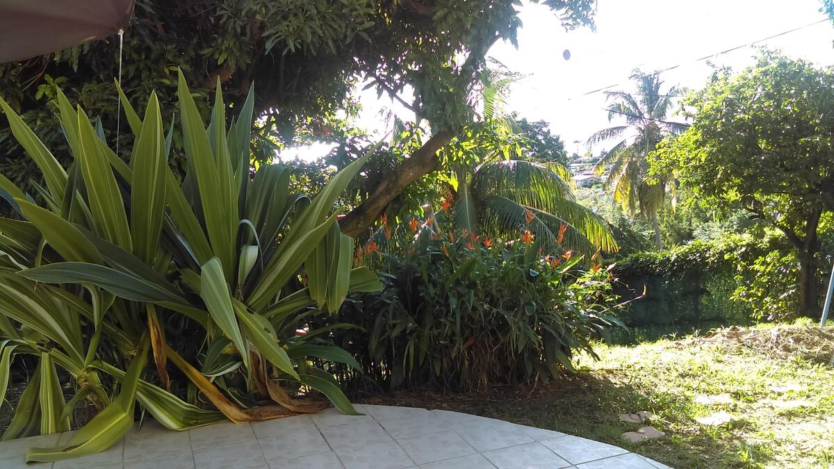 Studio 20 m² avec terrasse et vue jardin à Schoelcher - Photo 10