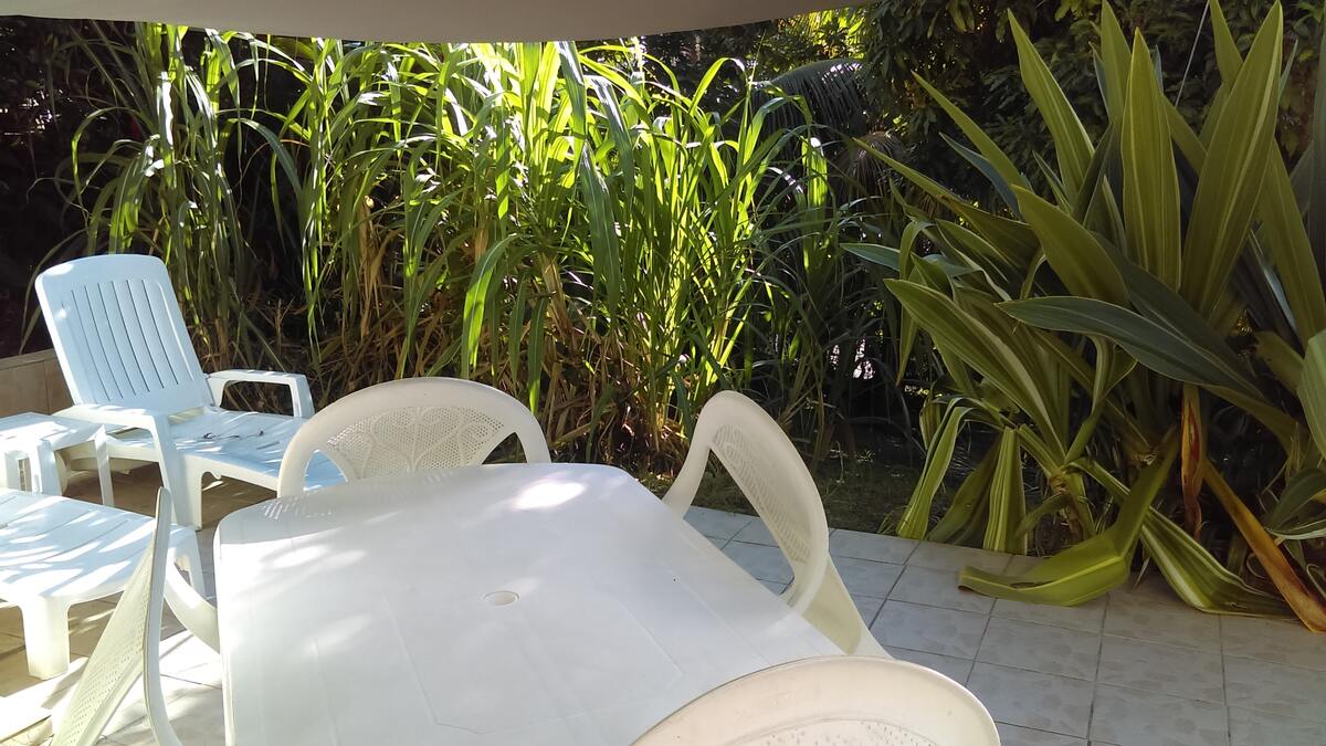 Studio 20 m² avec terrasse et vue jardin à Schoelcher - Photo 12