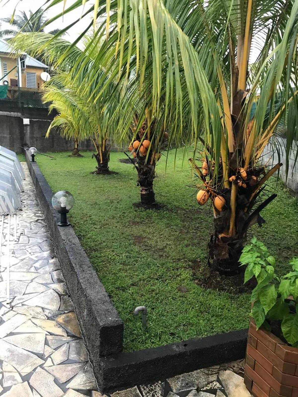 Appartement 4 pers. à Sainte-Rose, piscine ouverte toute l'année - Photo 8