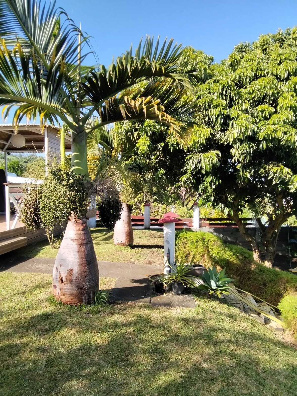 Maison 3 chambres avec jardin clos et barbecue à Saint-Paul - Photo 33