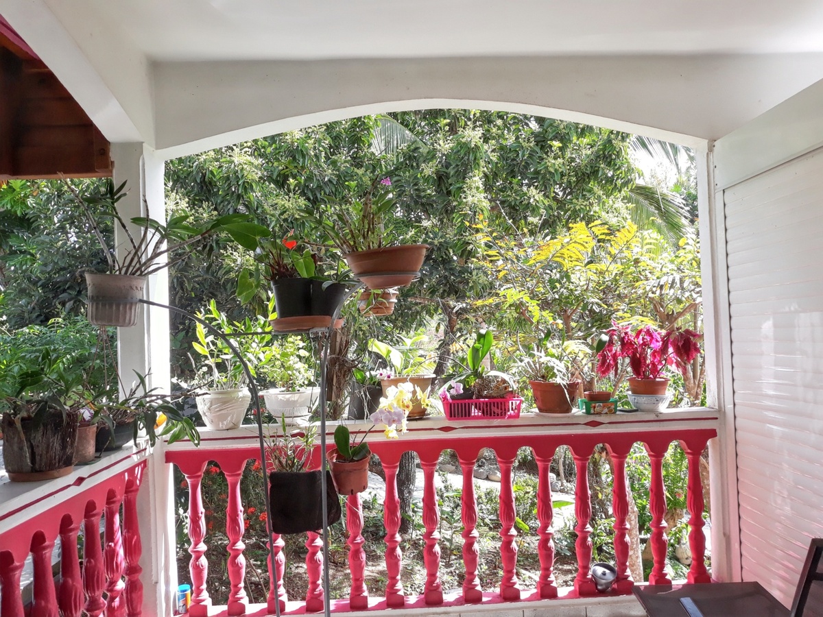 Appartement 56 m² avec terrasse aux Abymes - Photo 1