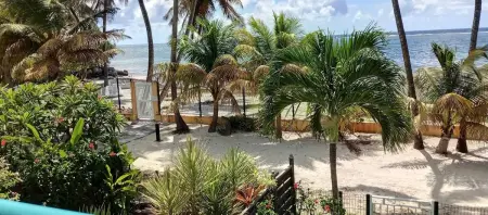 Appartement moderne avec vue sur la mer à Sainte-Anne, 30 m² - Photo 14