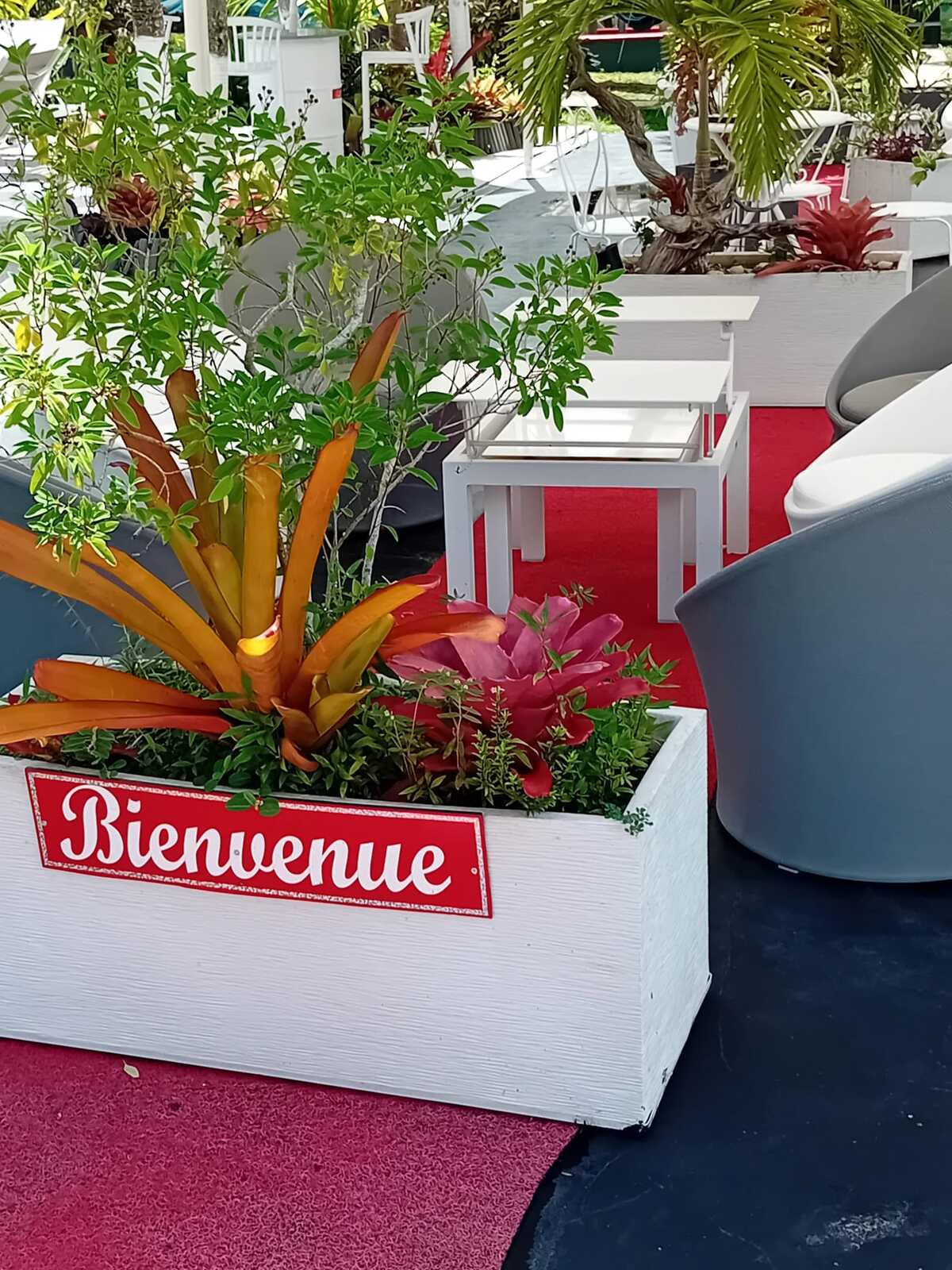 Bungalow 36 m² avec piscine commune à Sainte-Rose - Photo 2