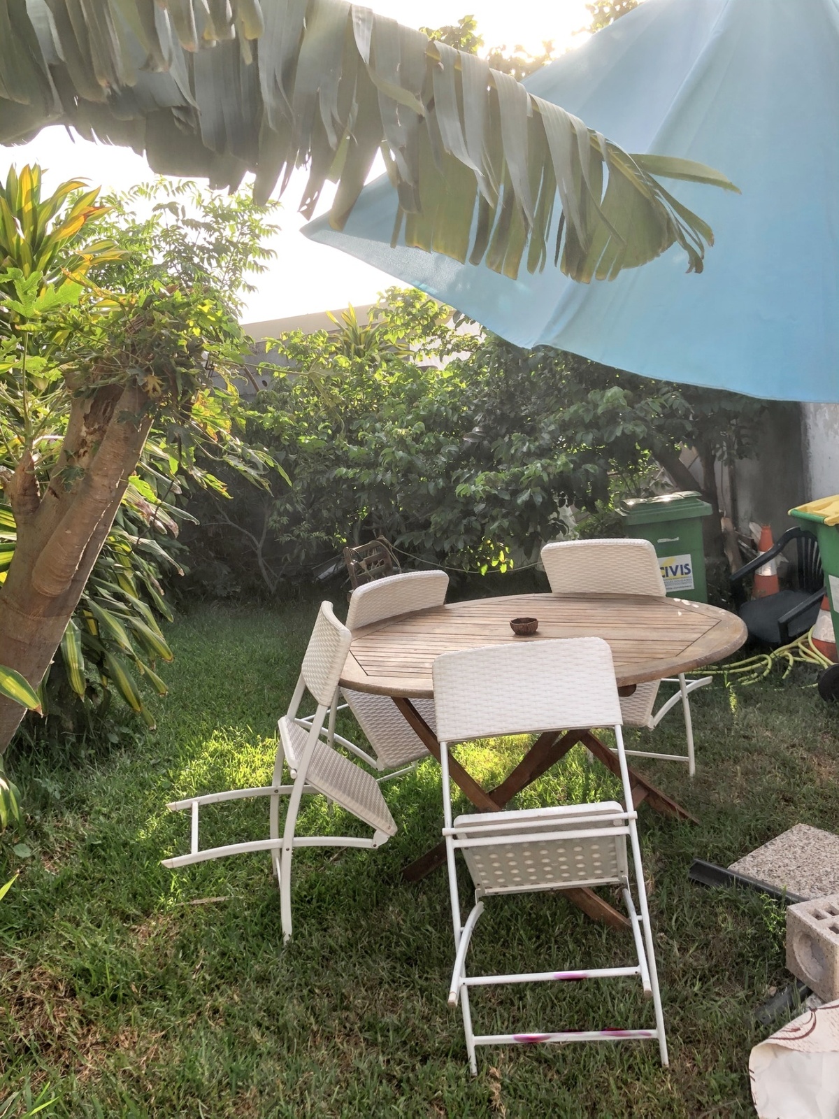 Studio 30 m² avec jardin clôturé à Saint-Pierre - Photo 1