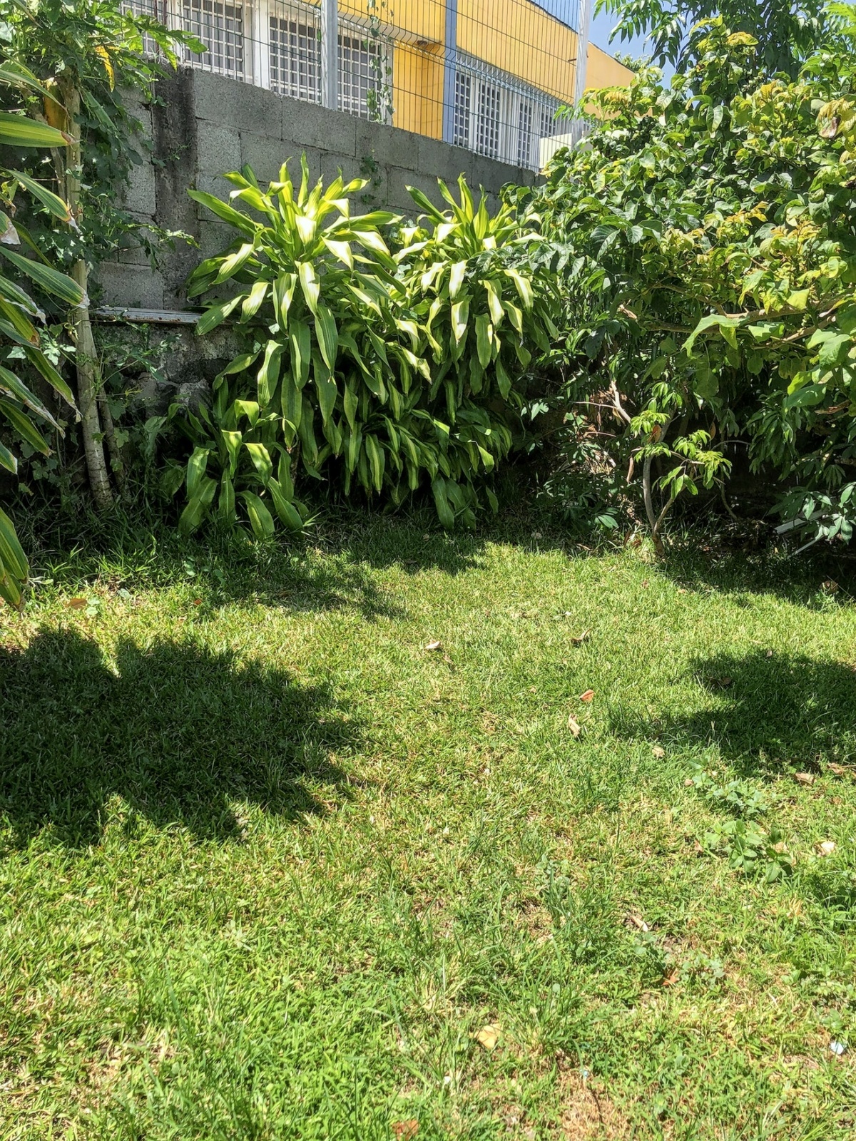 Studio 30 m² avec jardin clôturé à Saint-Pierre - Photo 12