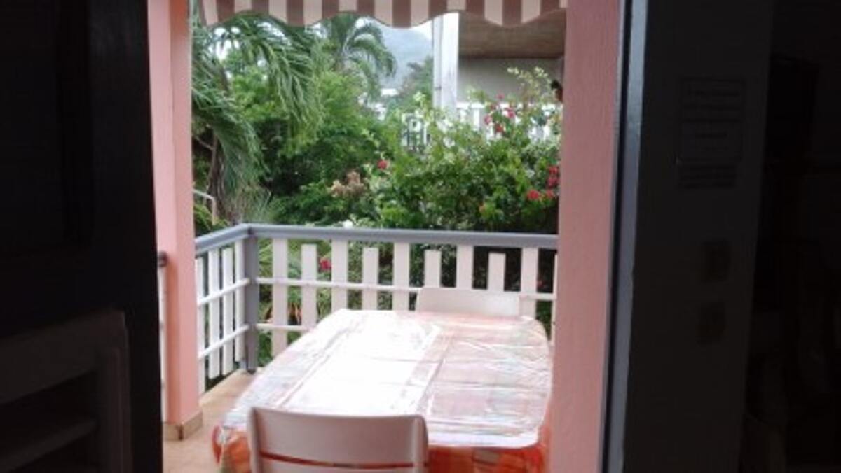 Appartement 30 m² avec terrasse et jardin à Sainte Anne - Photo 3