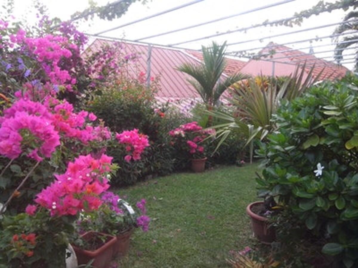 Appartement 30 m² avec terrasse et jardin à Sainte Anne - Photo 10