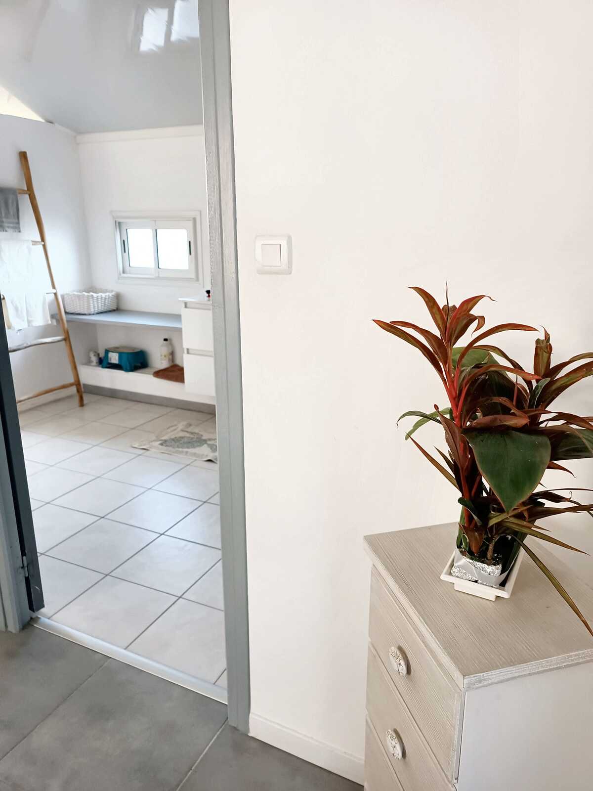 Appartement 3 chambres vue mer et terrasse à Saint-André - Photo 38