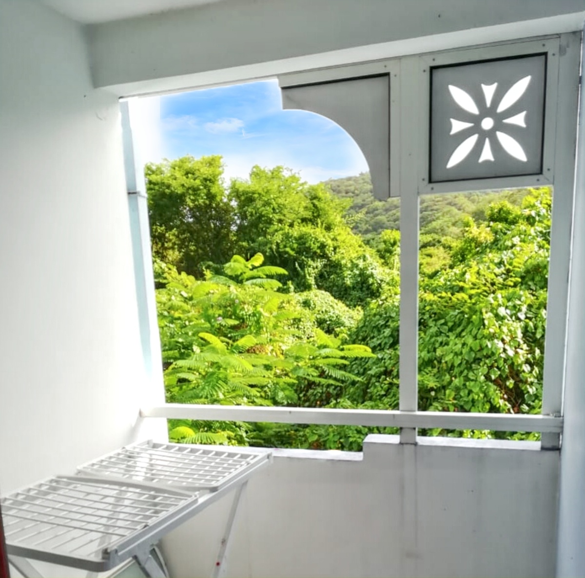 Appartement 45m² avec piscine et jardin à Sainte-Anne - Photo 17