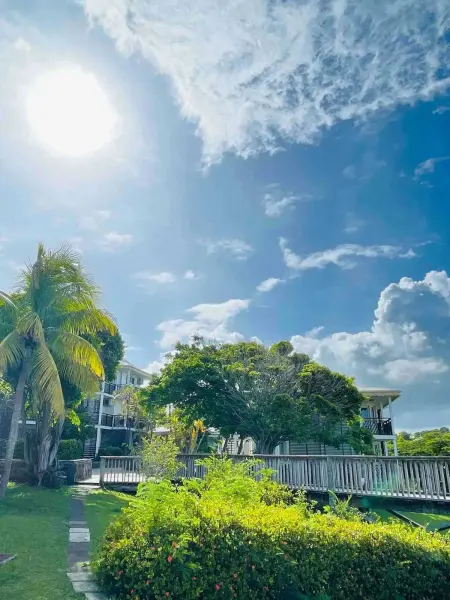 Appartement moderne 43 m² à Saint-François avec piscine partagée : photo 15