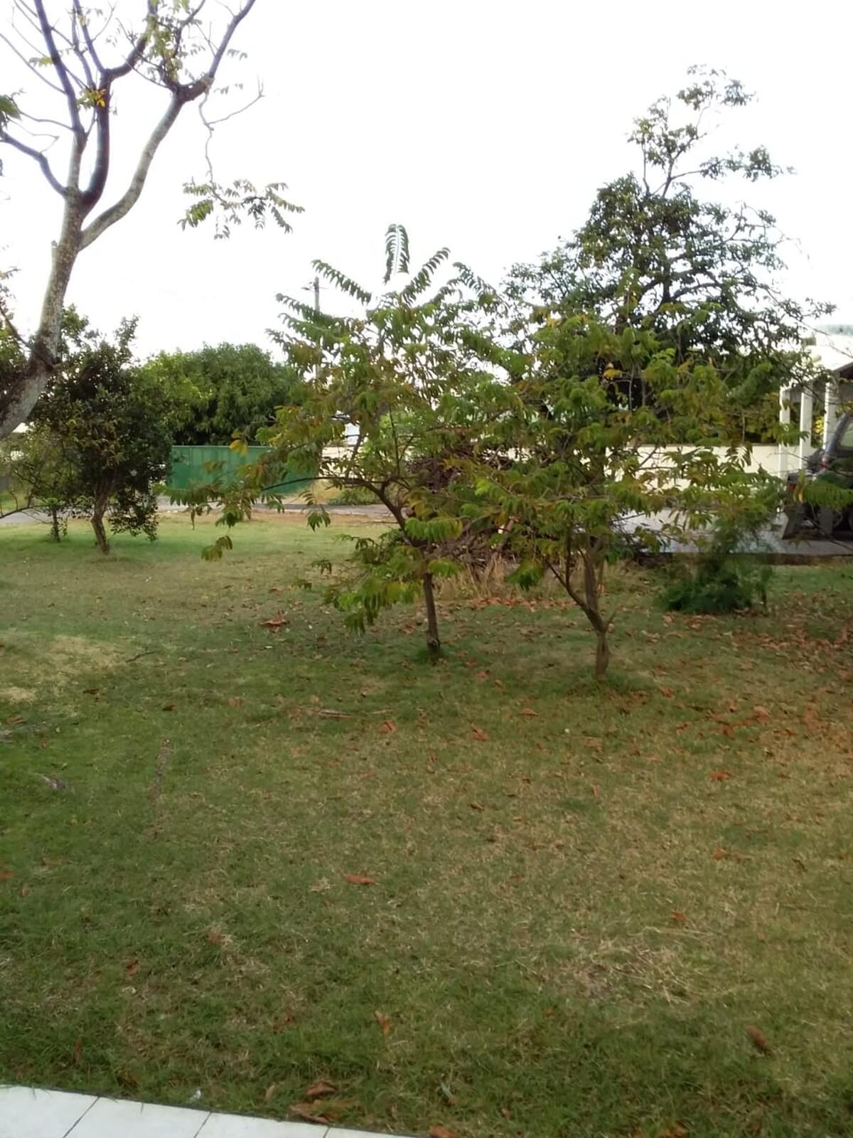 Maison 80 m² aux Mangles, jardin clôturé, 4 pers. - Photo 16