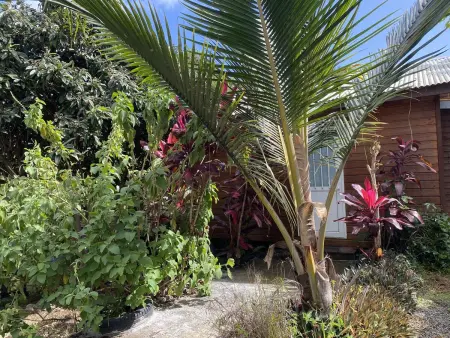 Chalet de 30 m² avec vue montagne à Le Tampon, jardin et balançoire : photo 2