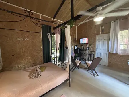 Chalet de 30 m² avec vue montagne à Le Tampon, jardin et balançoire : photo 4