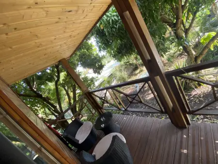 Chalet de 30 m² avec vue montagne à Le Tampon, jardin et balançoire : photo 8