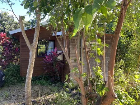 Chalet de 30 m² avec vue montagne à Le Tampon, jardin et balançoire : photo 9