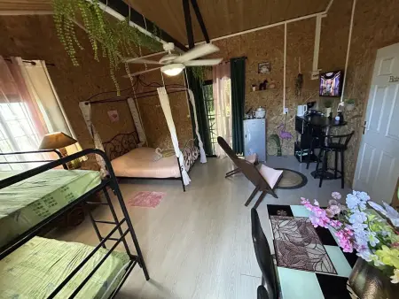 Chalet de 30 m² avec vue montagne à Le Tampon, jardin et balançoire : photo 14