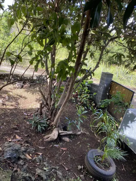 Chalet de 30 m² avec vue montagne à Le Tampon, jardin et balançoire : photo 17