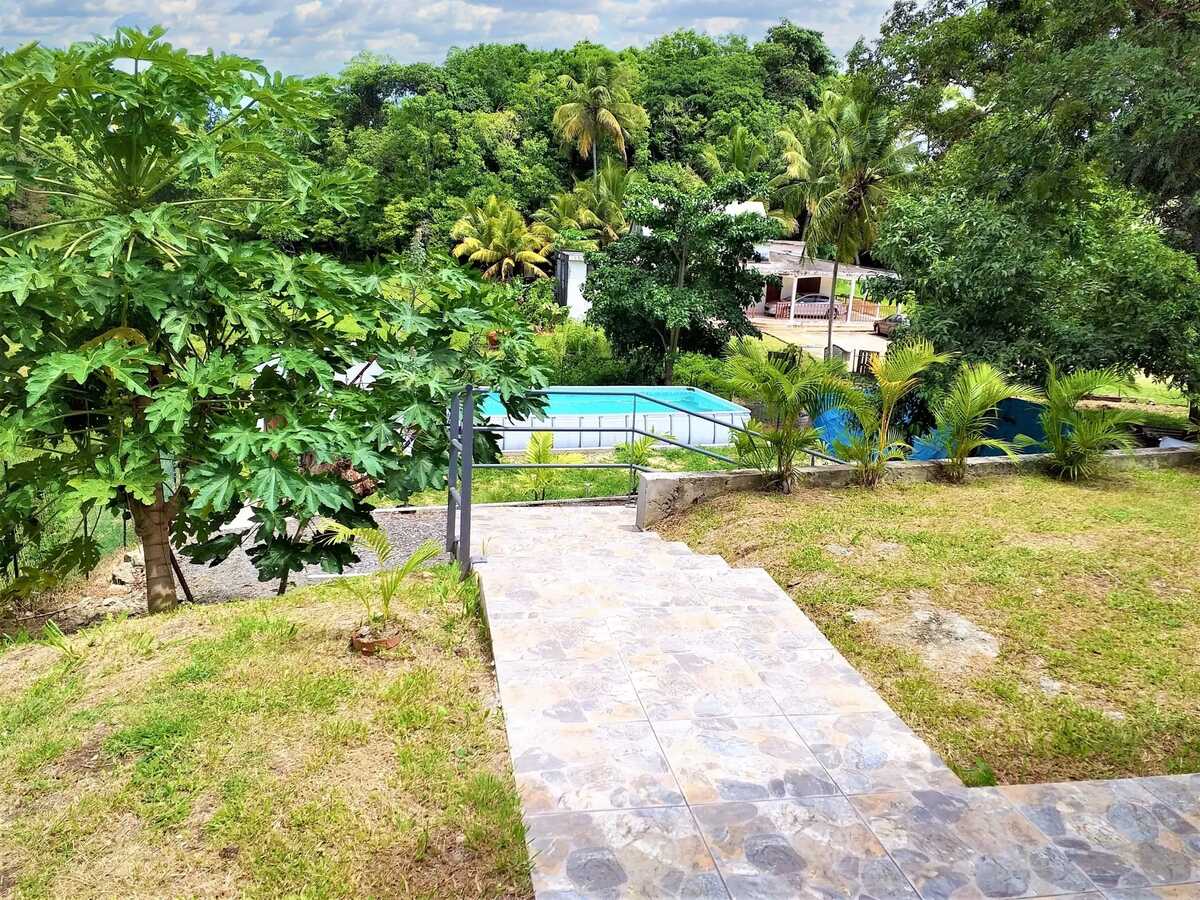 Bungalow 3 pers. au Moule avec piscine et terrasse - Photo 15