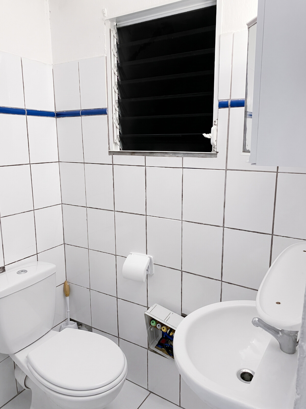 Appartement 36 m² avec terrasse et barbecue à Fort-de-France - Photo 9