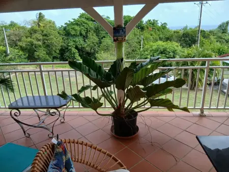 Appartement 2 chambres avec terrasse et parking à Sainte-Luce, Martinique : photo 13