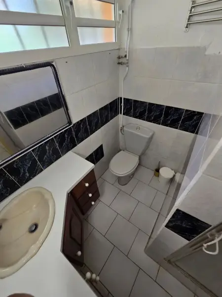Appartement 2 chambres avec terrasse et parking à Sainte-Luce, Martinique : photo 46