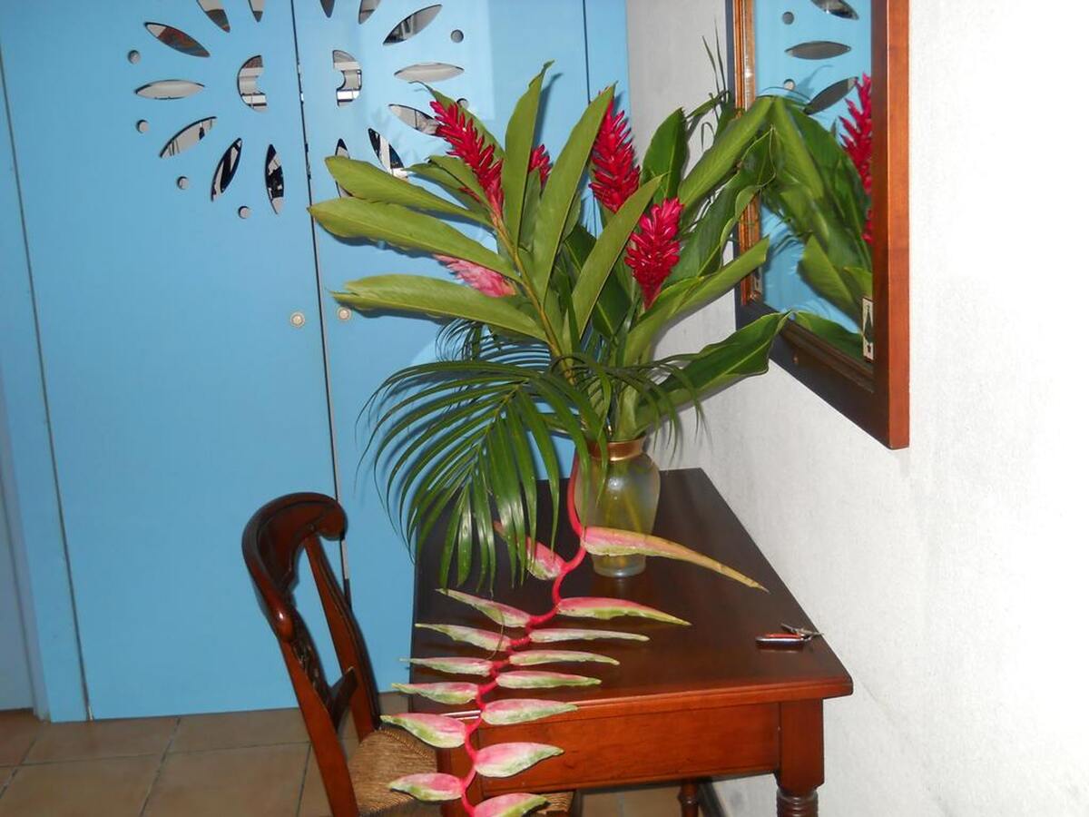 Appartement 30 m² Sainte-Anne, terrasse et piscine - Photo 9