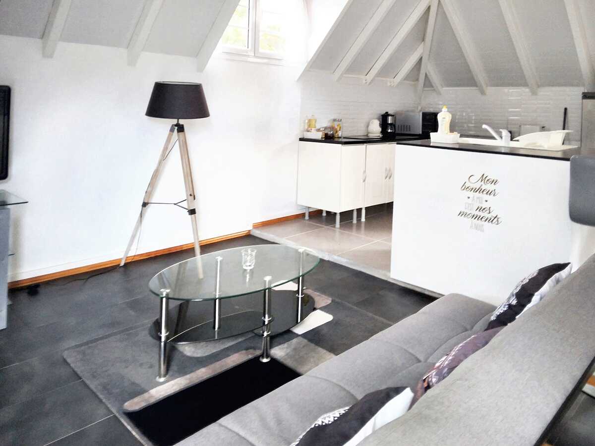 Studio 45 m² vue mer avec terrasse à Baillif - Photo 7