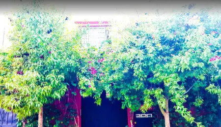 Appartement 130 m² avec terrasse et jardin, Marrakech : photo 6