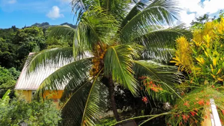 Appartement 70 m² avec balcon vue jardin au Robert, Martinique : photo 9