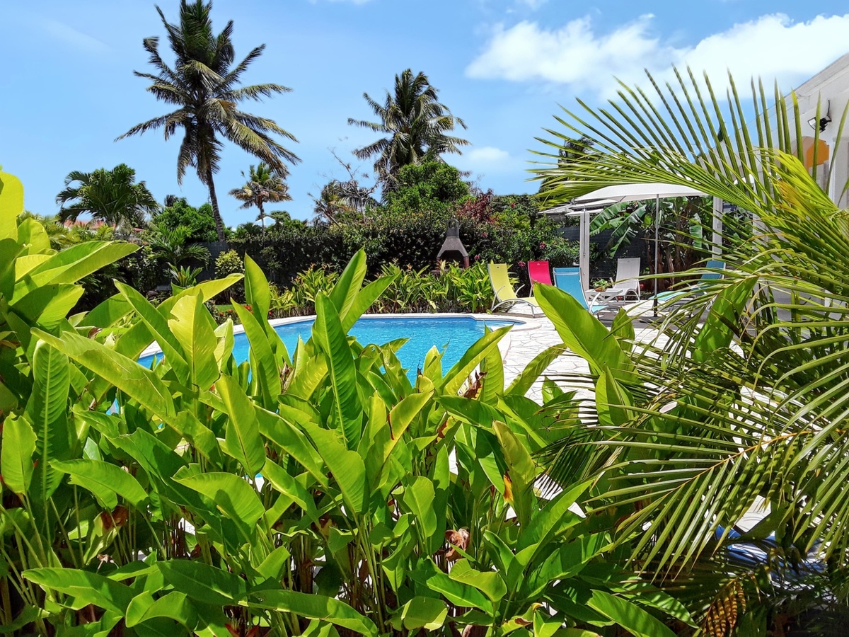 Appartement 50 m² Sainte Rose, piscine toute l'année - Photo 22