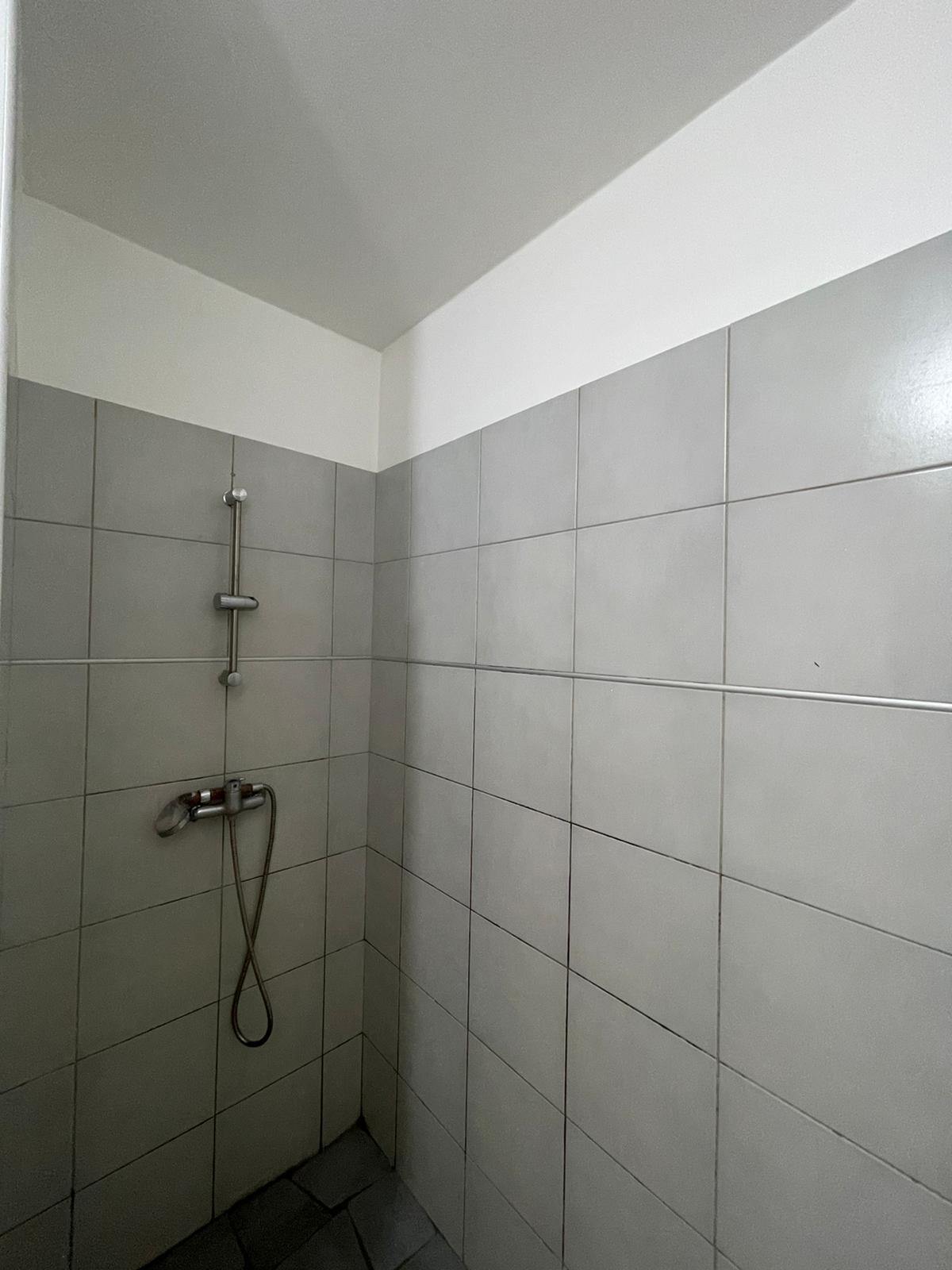 Appartement 53 m² vue baie Geniba à Rivière-Salée - Photo 5