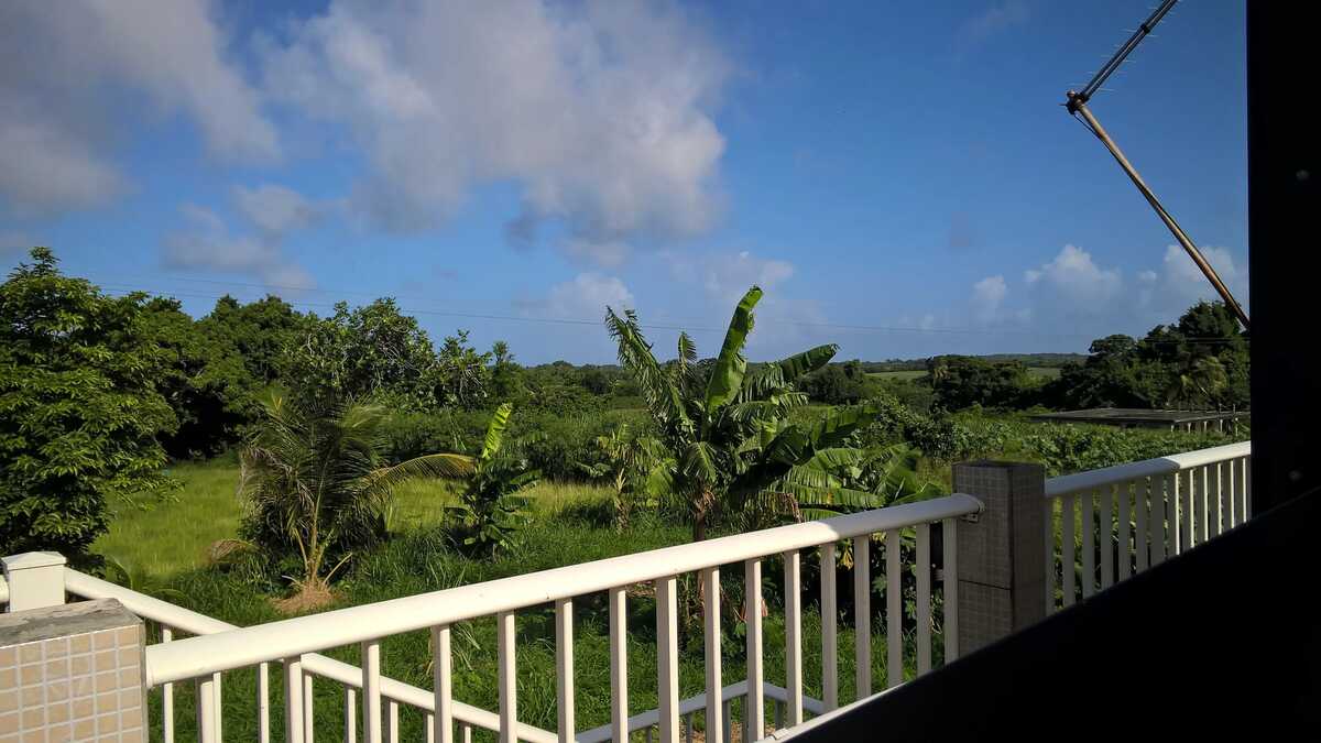 Appartement avec jardin privatif et barbecue à Capesterre-de-Marie-Galante - Photo 9