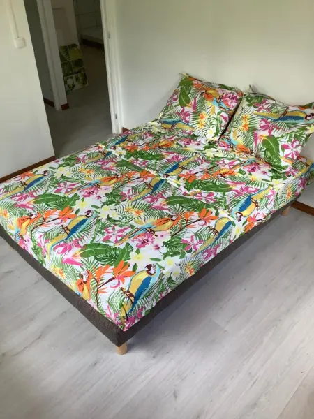Maison avec terrasse, hamac et parking gratuit à Gros Morne : photo 3