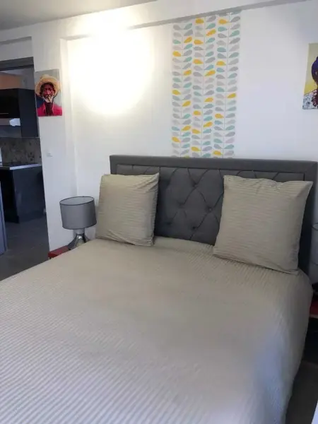 Maison vue mer à La Trinité, piscine partagée, 2 chambres : photo 11